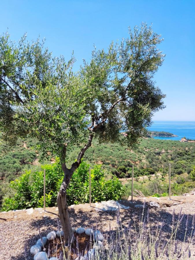 Athina'S Stone House In Kardamyli Villa Eksteriør billede