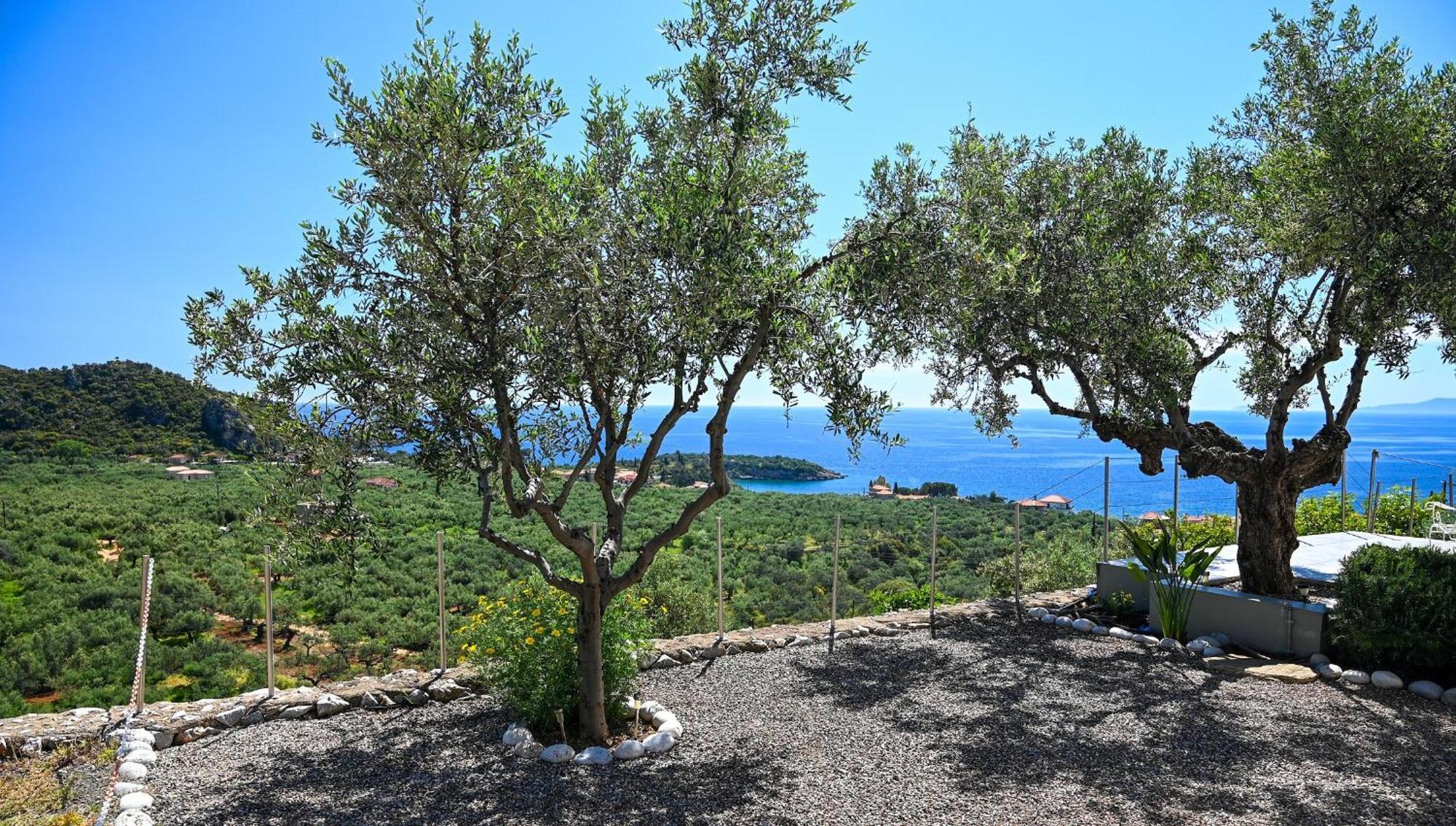 Athina'S Stone House In Kardamyli Villa Eksteriør billede