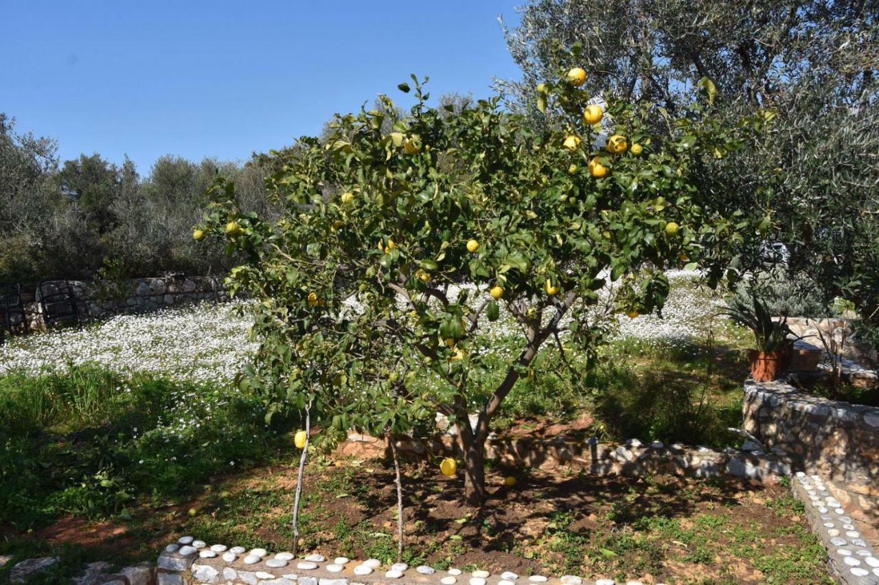 Athina'S Stone House In Kardamyli Villa Eksteriør billede